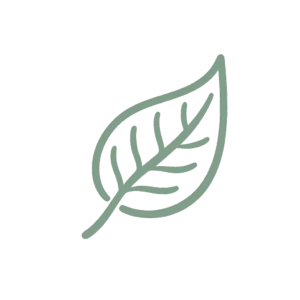 Feuille