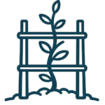 Plante qui grimpe sur un treillis solide