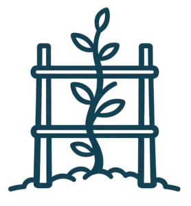 Plante qui grimpe sur un treillis solide